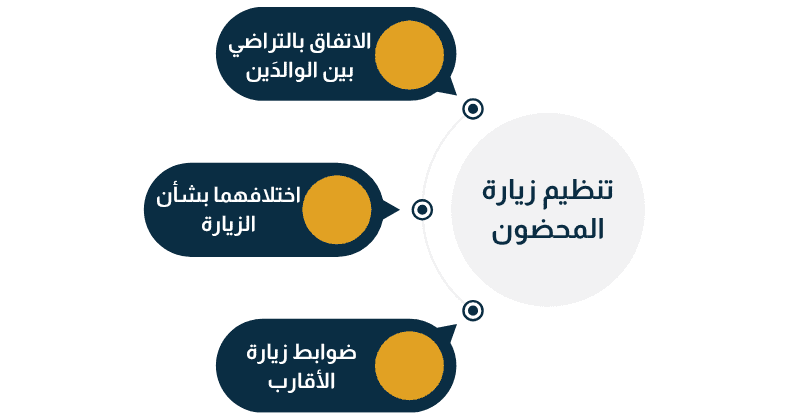 أحكام زيارة المحضون ونظمها وتطبيقاتها القضائية